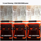 Cordless Work Light