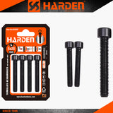 Hex Socket Bolt Set